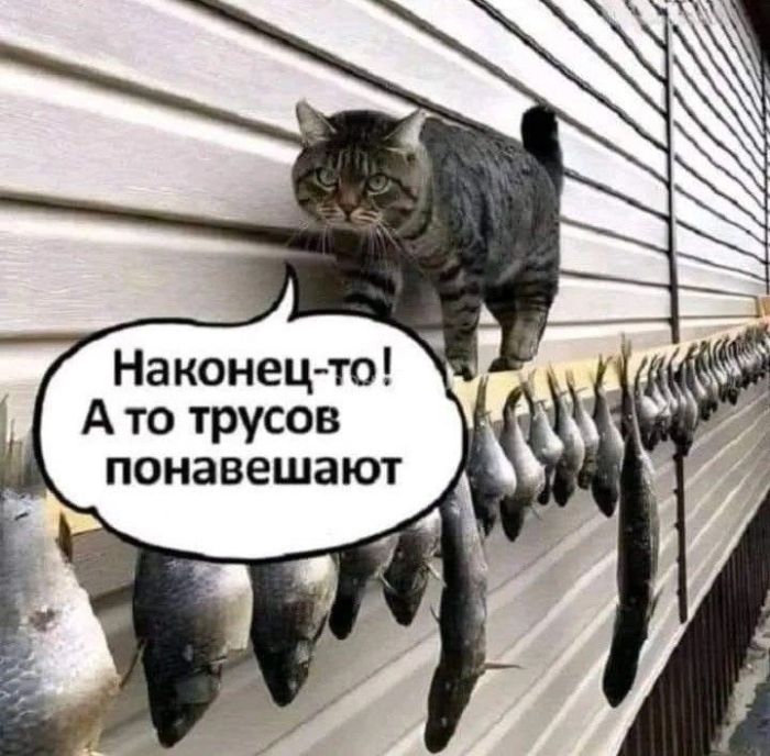 картинка a6ae645b05 srochno protivojadie ot osennej handry 13