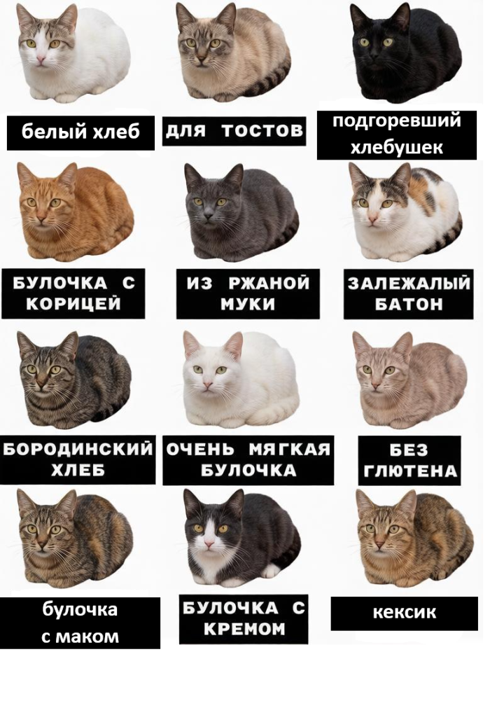 картинка b0dc793708 pjatnichnaja doza pozitiva 14