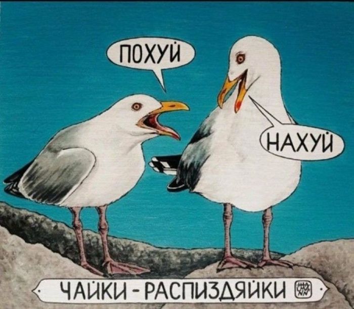 картинка b1d976525a slabonervnym vhod vospreschen 36