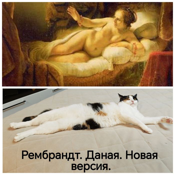 картинка b478cd1d1e 00000000000000000