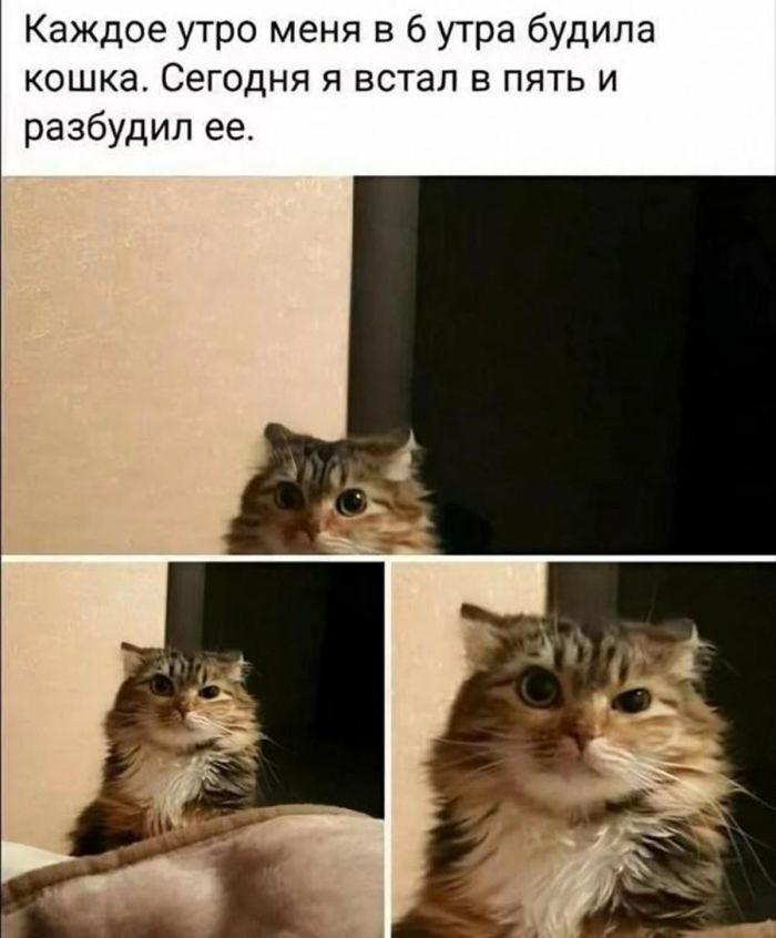 Планы на выходные? Отменяются! Точнее, переносятся в режим «максимальный чилл» 🛋️
