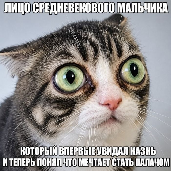 картинка b87562427d 21298343