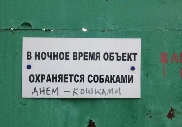 картинка bbda2fb2e4 kogda kalendar podmigivaet a kofe sdaetsja spasaemsja jumorom v seredine nedeli 9
