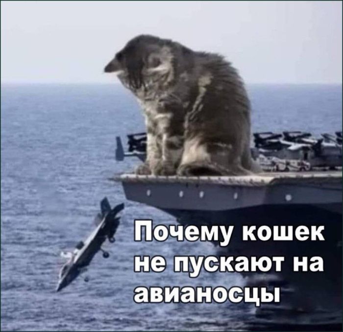 картинка c039a90484 1791902147