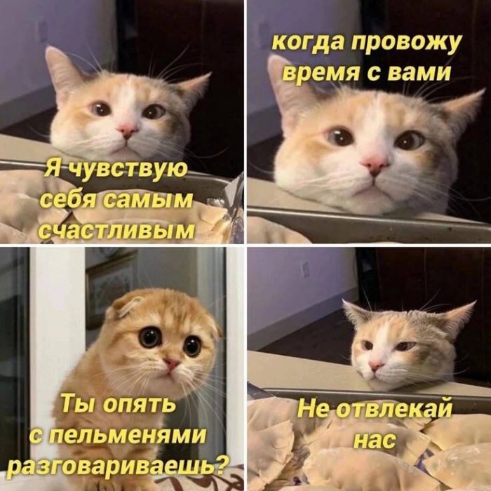 картинка c819b7b89c 00