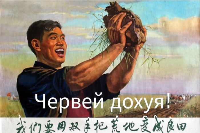 картинка c97858c4d9 podborka memov dlja teh u kogo chernyj jumor jeto zaschitnyj mehanizm 38
