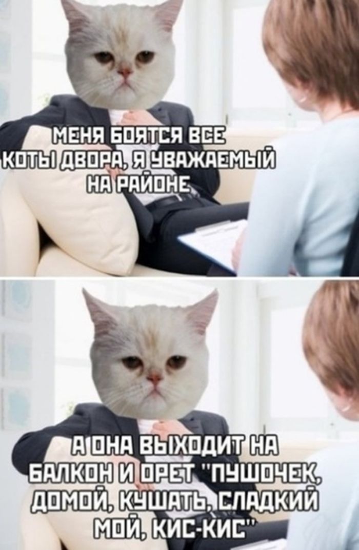 картинка ca53dec22f 000000