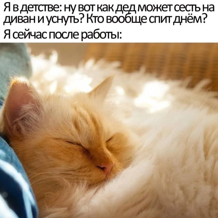 картинка cb54b5ed19 tvoj bilet v odin konec do samogo temnogo ugolka interneta 8