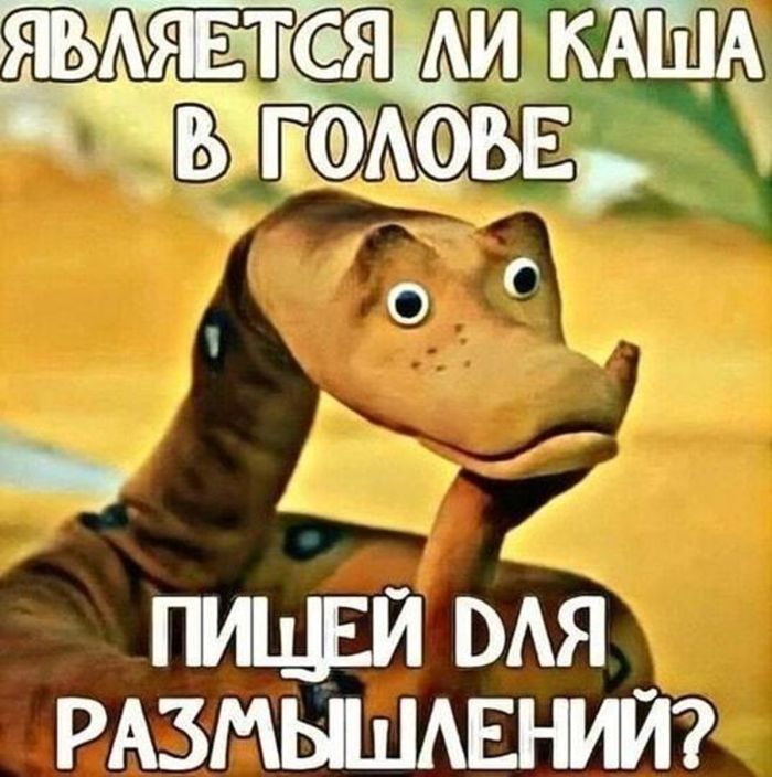 Устал от серых будней и бесконечных новостей? У нас есть проверенное лекарство. 💊