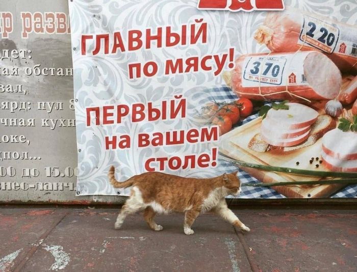 У нас для вас кое-что особенное! ✨ Новый сборник мемов, который точно поднимет настроение! У нас для вас кое-что особенное! ✨ Новый сборник мемов, который точно поднимет настроение! шутки, чтобы, офису, коллеге, кружку, после, третьей, вообще, захочется, обнять, соседа, откопали, простить, поудобнее, расслабьте, сейчас, слишком, серьёзное, ловите, заряд
