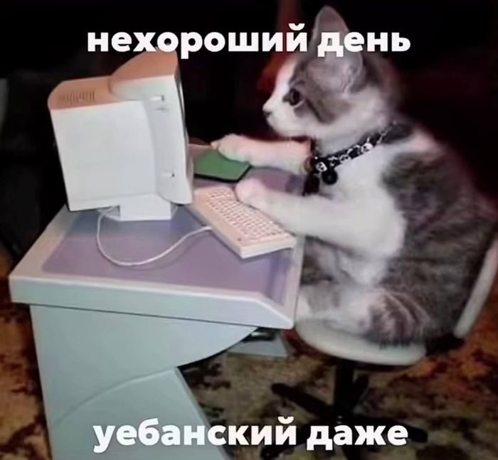 картинка d29754d8be srochno protivojadie ot osennej handry 15
