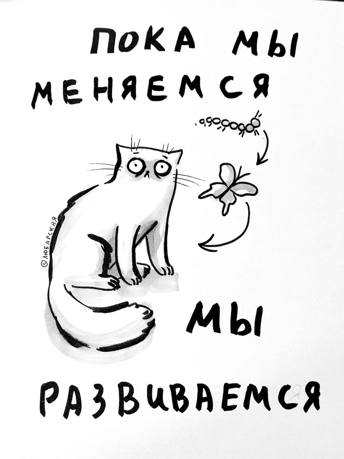 картинка d337070b41 0000000000000
