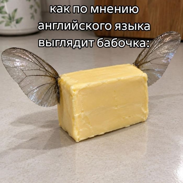 У нас для вас кое-что особенное! ✨ Новый сборник мемов, который точно поднимет настроение! У нас для вас кое-что особенное! ✨ Новый сборник мемов, который точно поднимет настроение! шутки, чтобы, офису, коллеге, кружку, после, третьей, вообще, захочется, обнять, соседа, откопали, простить, поудобнее, расслабьте, сейчас, слишком, серьёзное, ловите, заряд