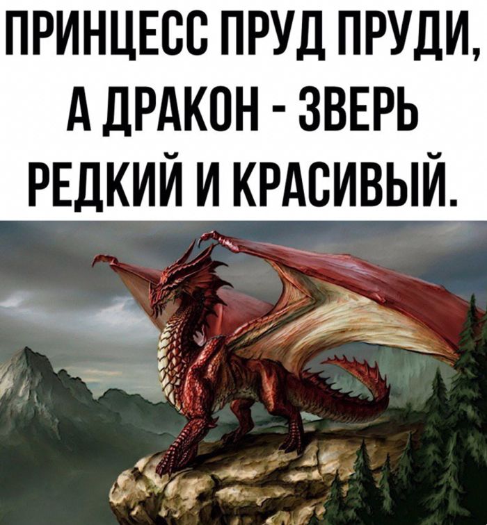 Понедельник: начало новой главы или просто «опять двадцать пять»? 😄