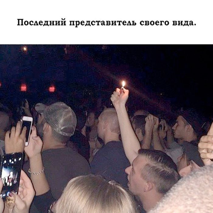 картинка de007f3741 21345928