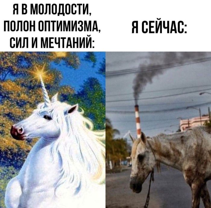 картинка df76e6d79f zabyli kak ulybatsja po utram my tut sobrali dlja vas porciju chistejshego pozitiva 11