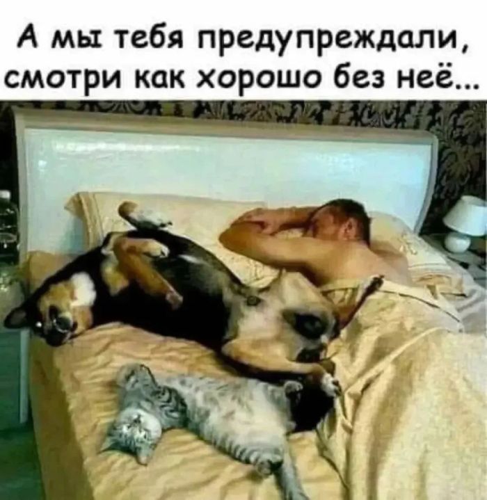 У нас для вас кое-что особенное! ✨ Новый сборник мемов, который точно поднимет настроение! У нас для вас кое-что особенное! ✨ Новый сборник мемов, который точно поднимет настроение! шутки, чтобы, офису, коллеге, кружку, после, третьей, вообще, захочется, обнять, соседа, откопали, простить, поудобнее, расслабьте, сейчас, слишком, серьёзное, ловите, заряд