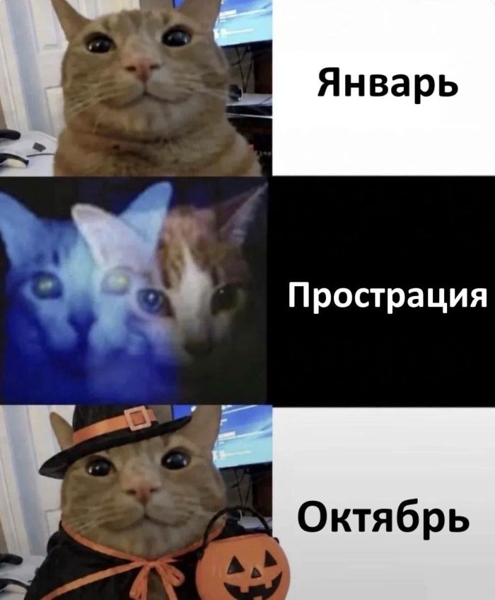 картинка eab2aece0d zabyli kak ulybatsja po utram my tut sobrali dlja vas porciju chistejshego pozitiva 8