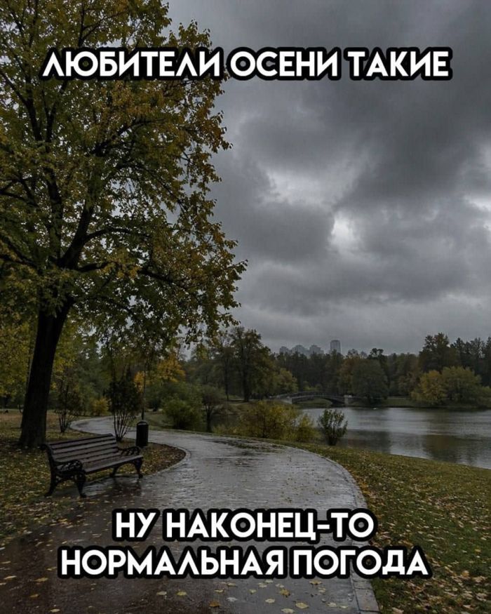 Ну что, дожили? Пятница! 🎉