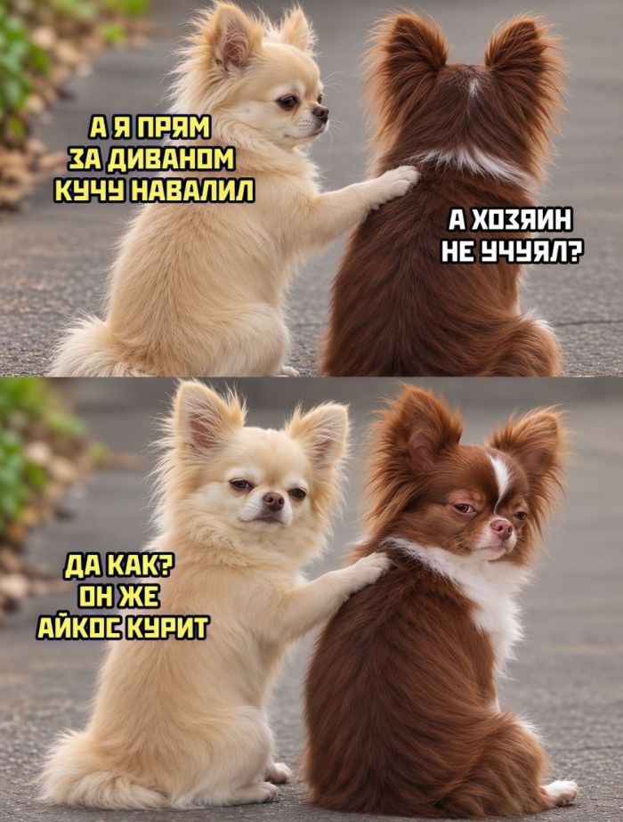 картинка faaa0767cd 000000